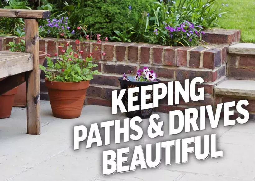 Roundup weed killer for Paths, Patios & Drives